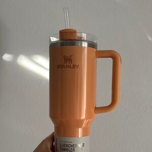 Bellini shimmer Stanley